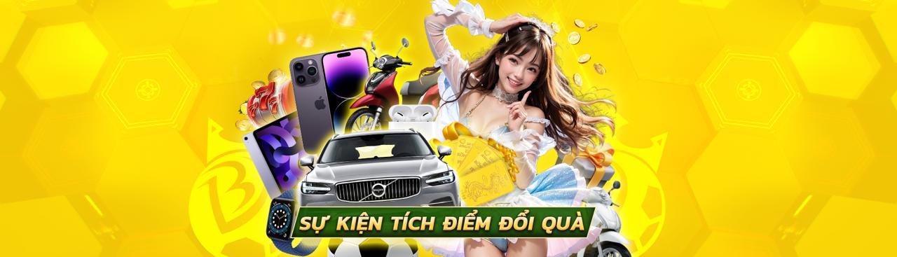 Banner cá cược thể thao BONGVIP